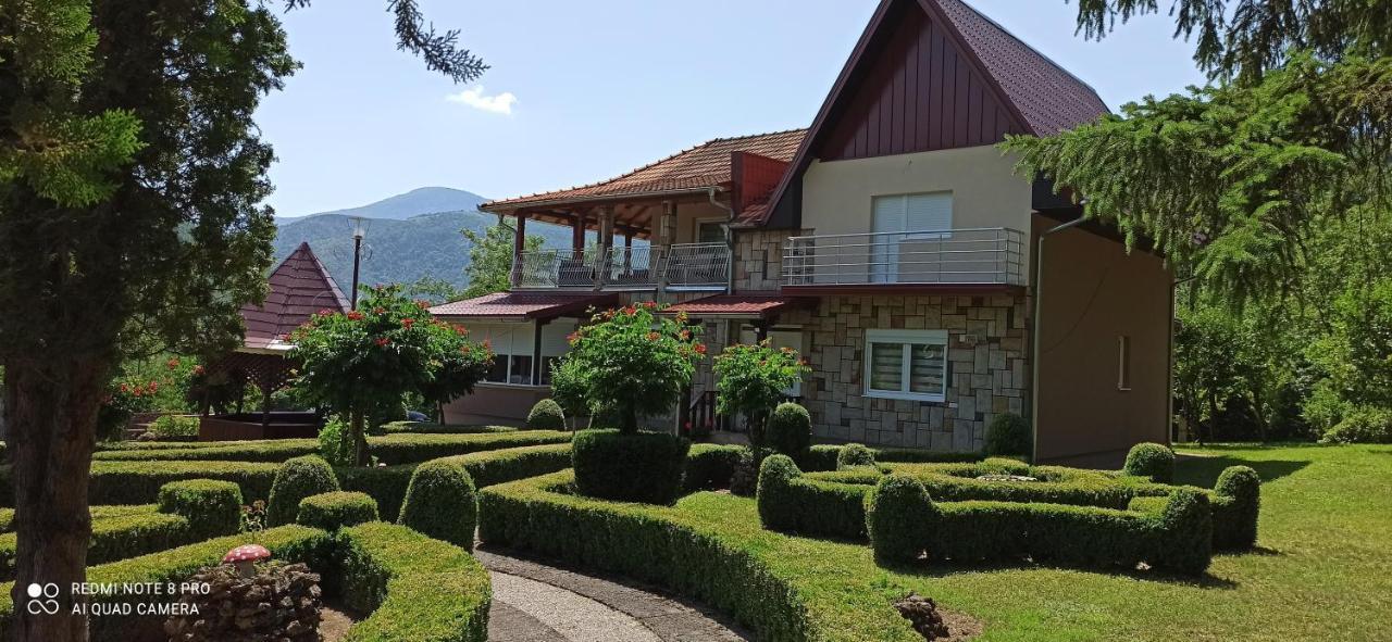 Guest House Vila Aleksa Bogutovac Exterior foto