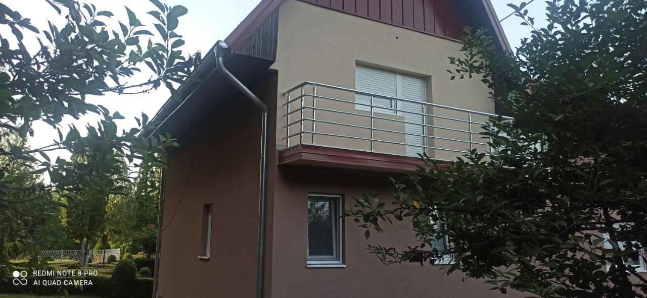 Guest House Vila Aleksa Bogutovac Exterior foto